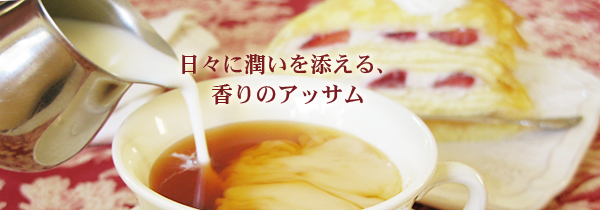 アッサム紅茶ハルマリ茶園