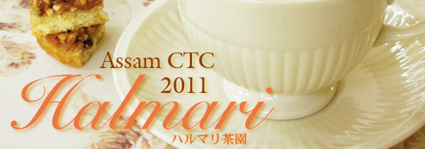 アッサムCTC紅茶：ハルマリ茶園
