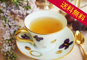 ダージリン紅茶ファーストフラッシュ・春摘みタルザム茶園