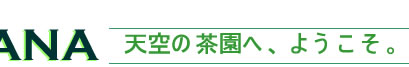 ジャンパナ茶園：ダージリン出張記