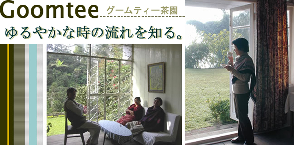 グームティー茶園：ダージリン出張記