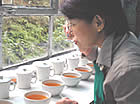 マーガレッツホープ茶園：ダージリン出張記