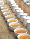 プッタボン茶園：ダージリン出張記