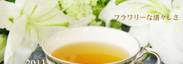 ネパール・ジュンチヤバリ茶園春摘み