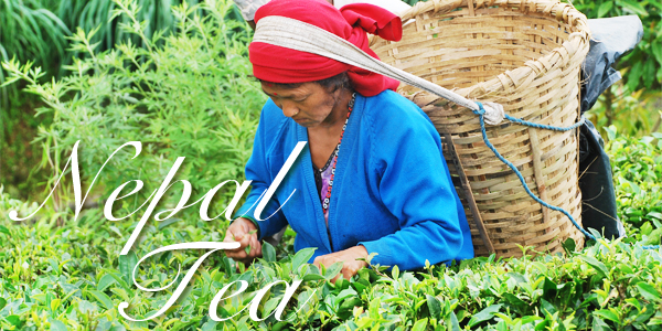 ネパール紅茶