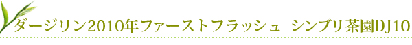 �_�[�W�����E�t�@�[�X�g�t���b�V���E�V���u������