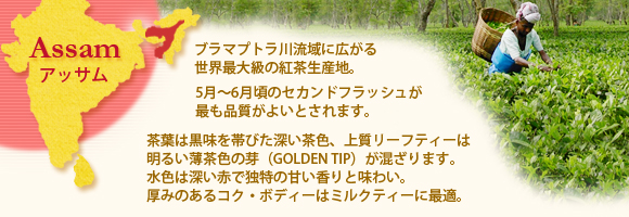 アッサム紅茶