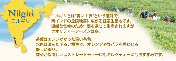ニルギリ紅茶