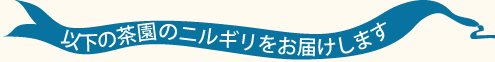 ニルギリ紅茶