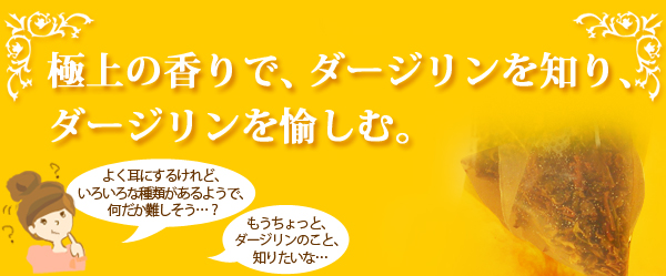 プレミアム・ダージリン・ティーバッグマーケット