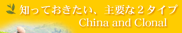 知っておきたい、主要な2タイプ China and Clonal