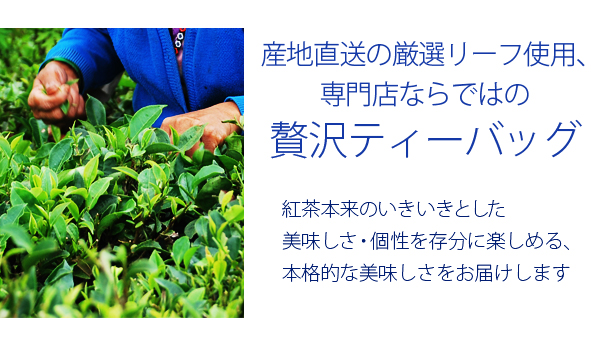 水出しティーバッグ