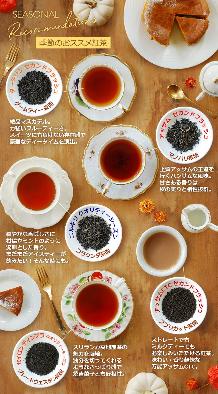 季節のおススメ紅茶