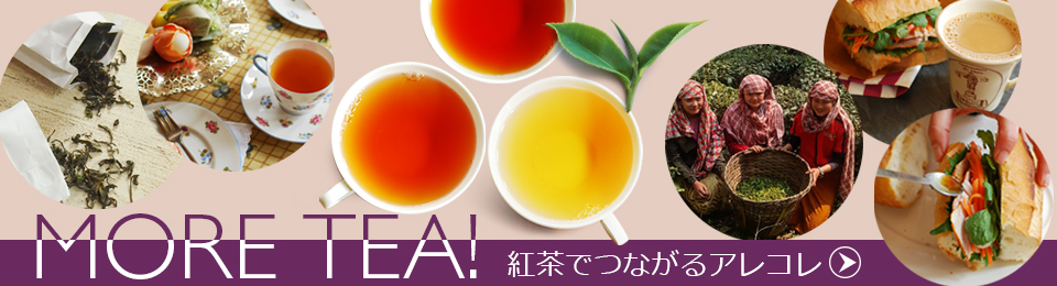 紅茶コラム